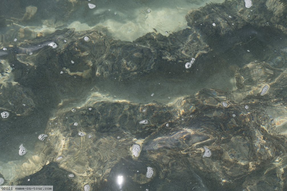180607-113250-Stromatolithen.jpg