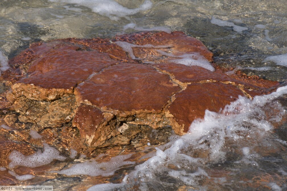 180607-113636-Stromatolithen.jpg