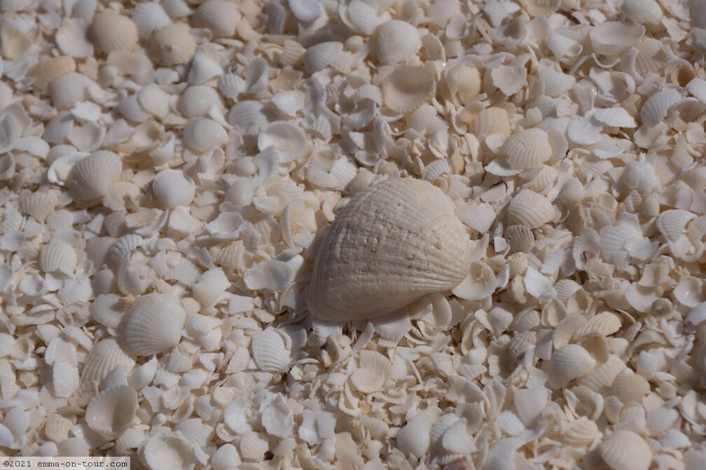 180607-125452-Shell-Beach.jpg